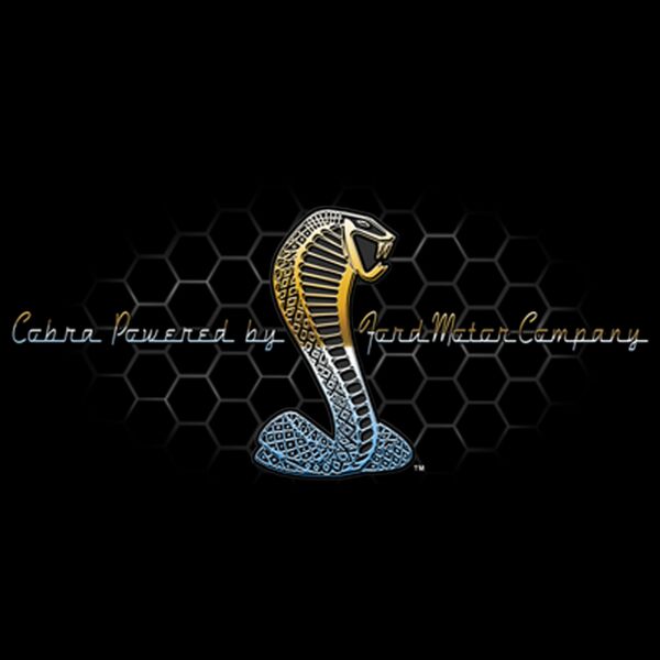 Shelby Grill Thumbnail